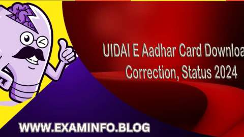 UIDAI E Aadhar Card Download Correction Status 2024